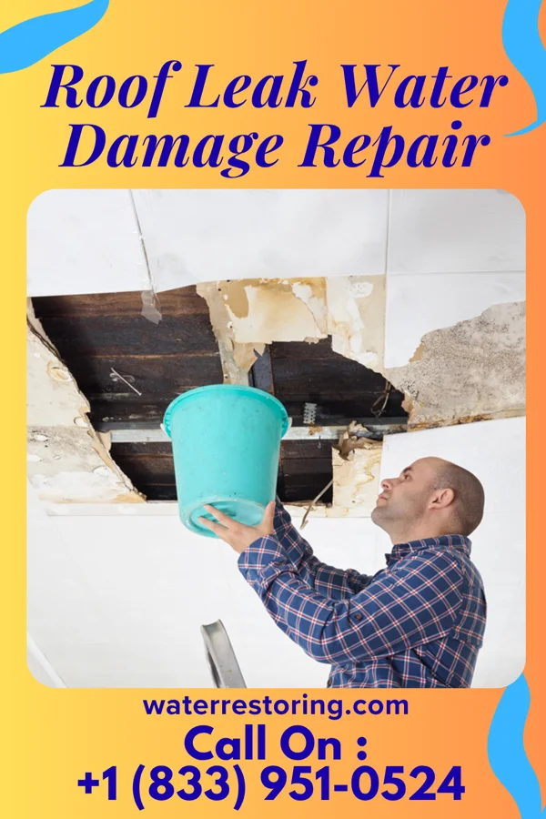 Roof Leak Water Damage Repair in Whitefish Bay, WI