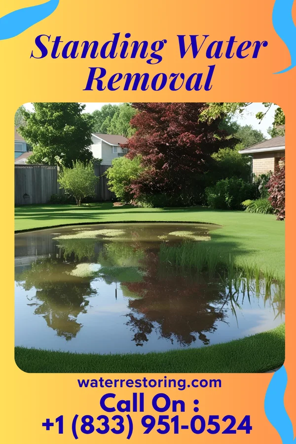 Standing Water Removal in Whitefish Bay, WI